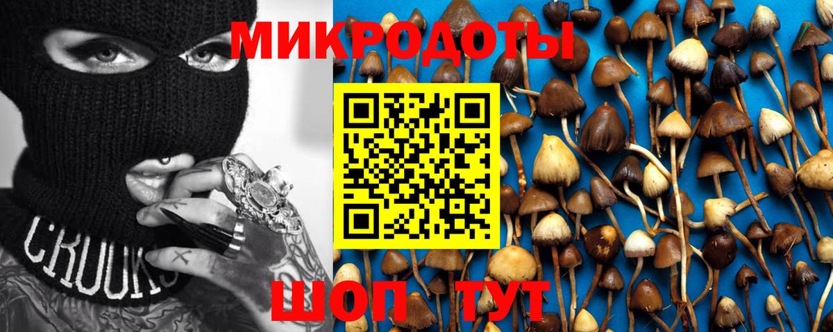 Псилоцибиновые грибы Magic Shrooms Качканар